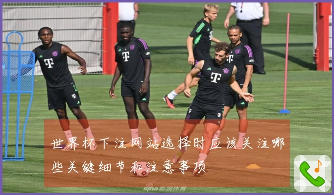 世界杯下注网站选择时应该关注哪些关键细节和注意事项