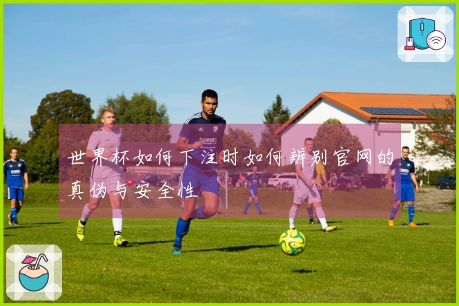 世界杯如何下注时如何辨别官网的真伪与安全性