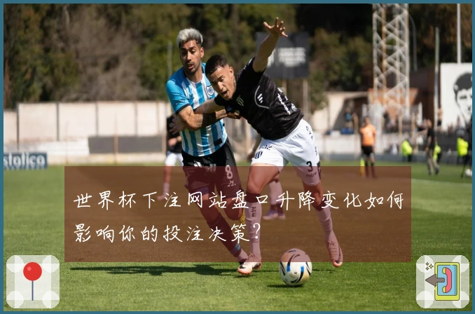 世界杯下注网站盘口升降变化如何影响你的投注决策?