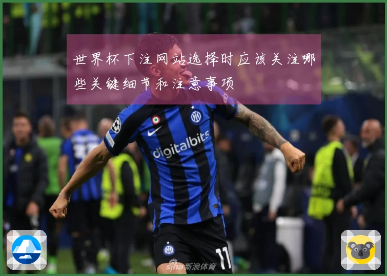 世界杯下注网站选择时应该关注哪些关键细节和注意事项